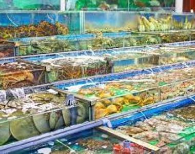 Cảnh trái ngược: Nơi tôm hùm “cháy” hàng, nơi vắng lặng không mặn mà