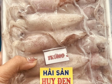 Mực trứng