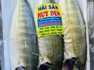 Cá biển