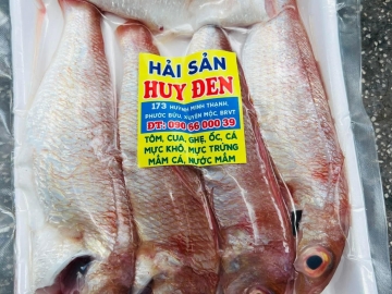 Cá hường