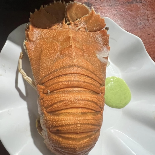 Tôm tích