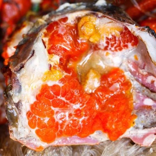 Cua biển gạch