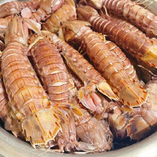 Tôm tích