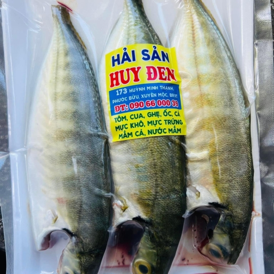 Cá biển