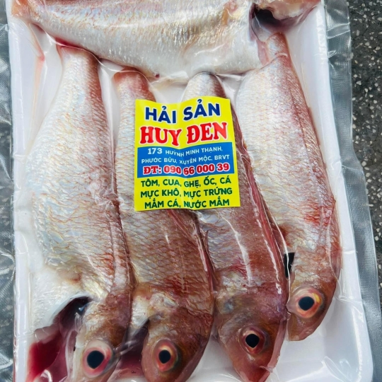 Cá hường